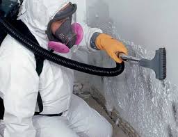 Best Mold Removal for HVAC Installations in Mansfield, PA